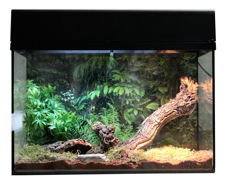 LUCKY REPTILE Террариум "Для Пауков и Скорпионов" стартовый комплект 50х28х40см (чёрный)