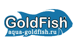 GoldFish
