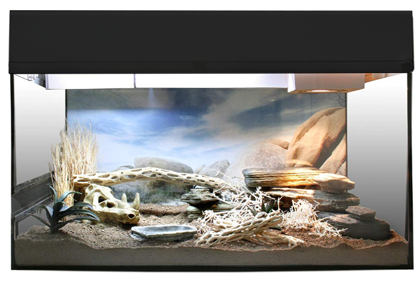 LUCKY REPTILE Террариум "Для Эублефаров" стартовый комплект 80х40х52см (чёрный)
