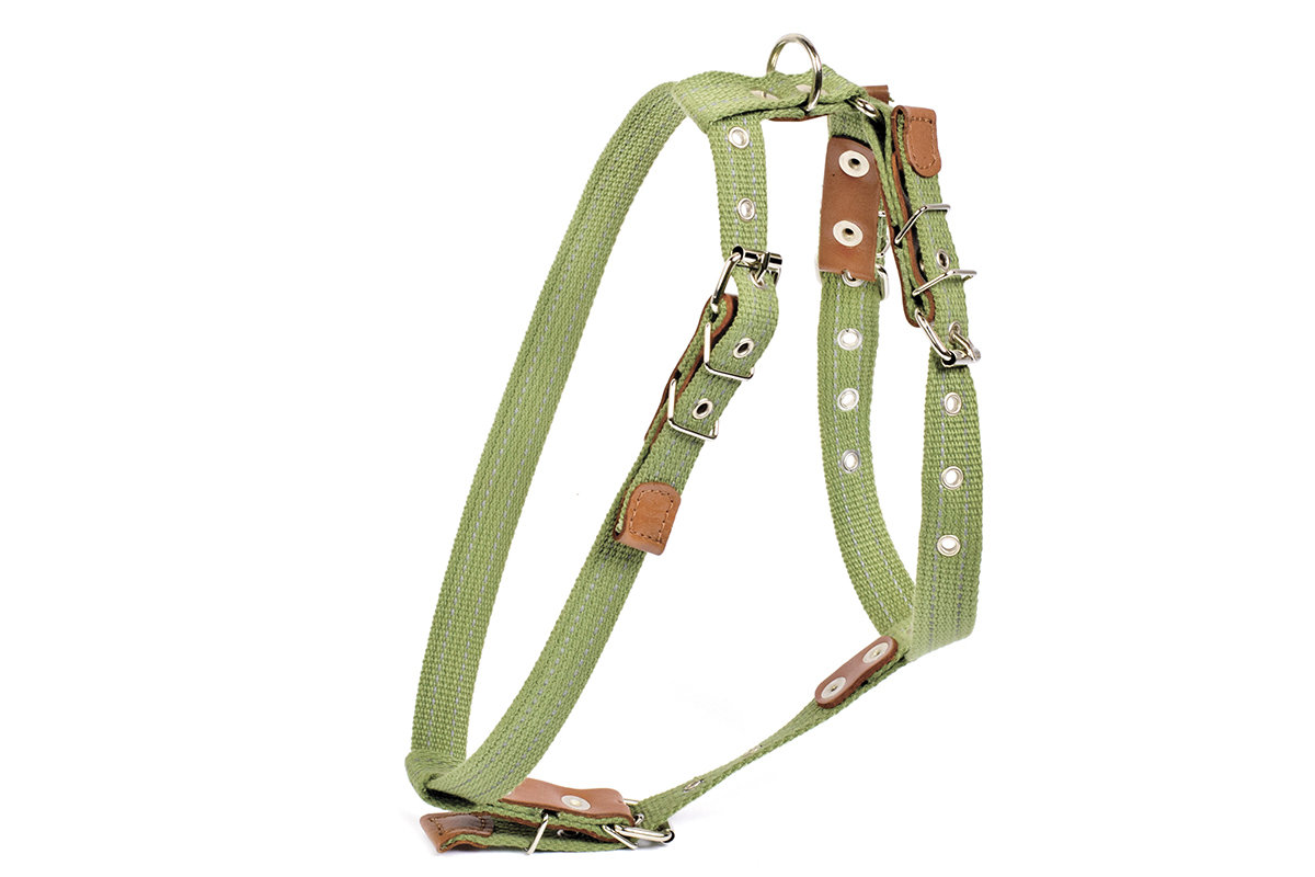 COLLAR Шлея х\б тесьма для мелких и средних собак ширина 20 мм A:36-57см В:55-65 см