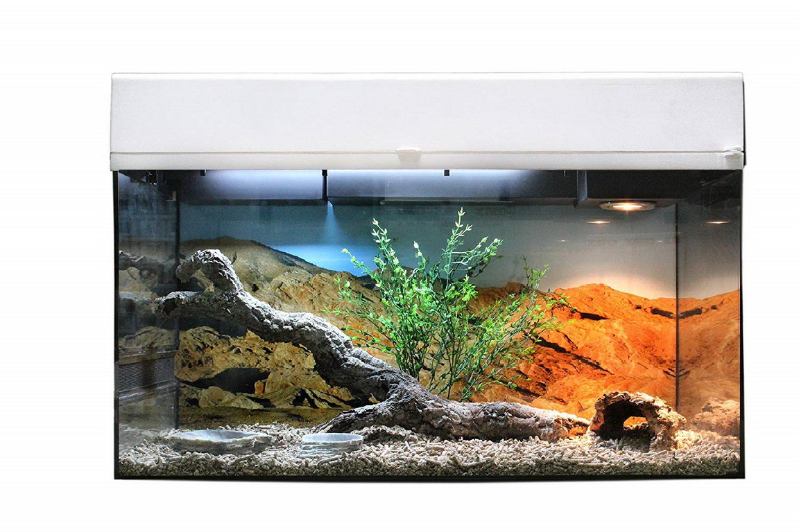 LUCKY REPTILE Террариум "Для Бородатых Агам" стартовый комплект 80х40х52см (белый)